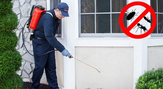Saruhanlı Haşere İlaçlama böcek ilaçlama ve haşere kontrolü — ilaclama-tr.com